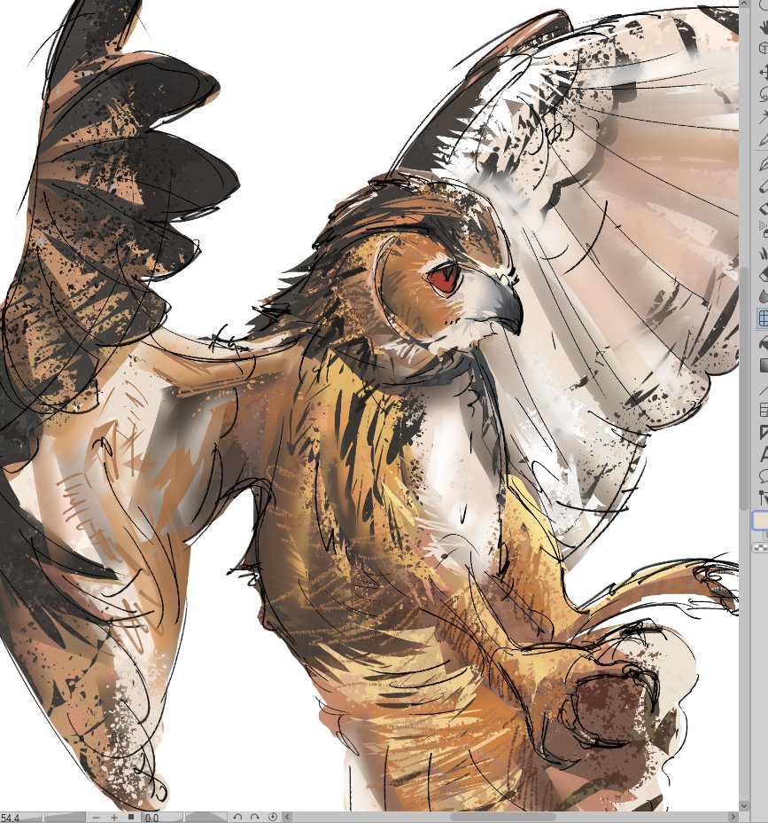 tam0kuu's tweet photo. should probably stop birdposting https://t.co/NWy5BQ0UUs