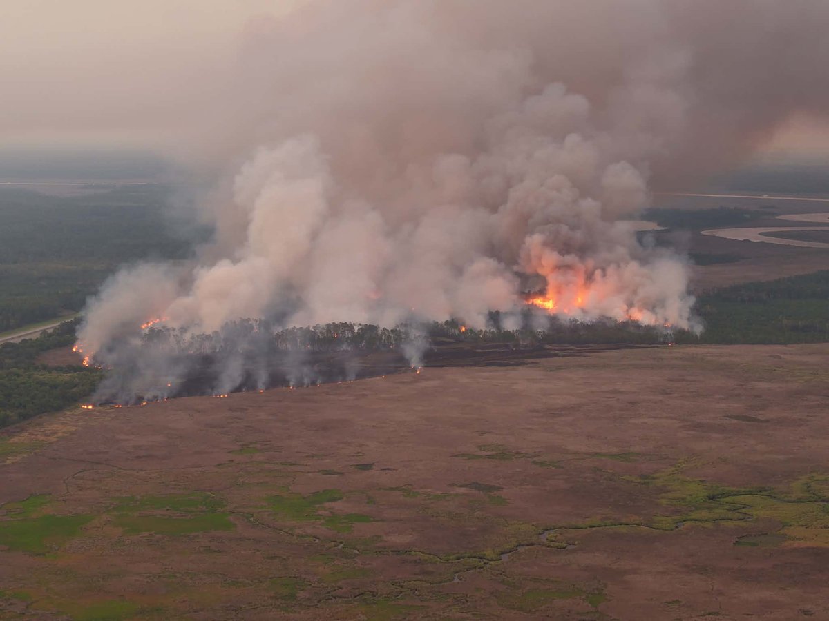 MikeFirstAlert's tweet photo. #firstalertwx drone pics of wildfire that has shut down I-95 in Camden Co. Ga. just north of the Florida state line - Wed. July 29 @ActionNewsJax @WOKVNews https://t.co/sse0MnVFV5