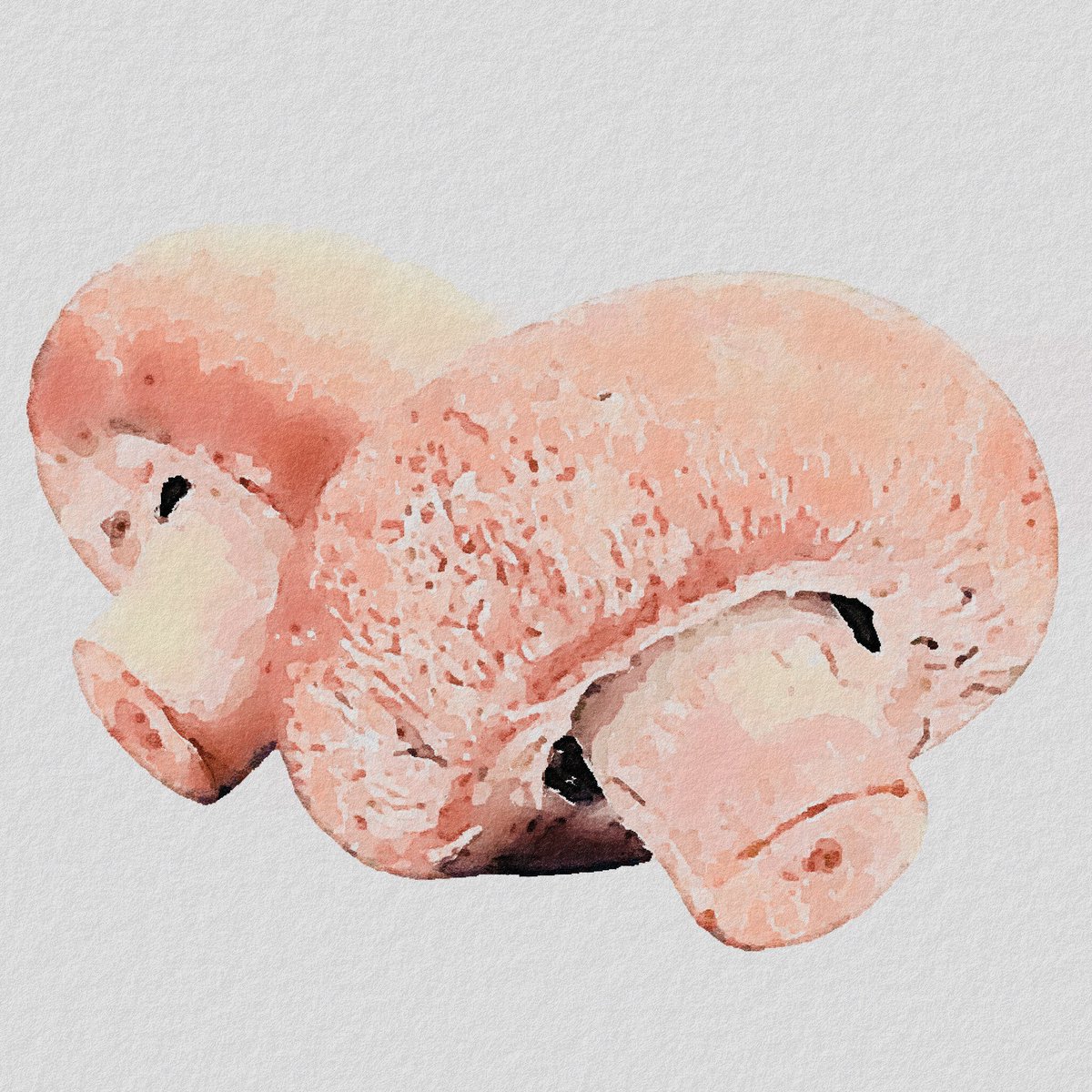 BillySiu822's tweet photo. Mushroom
#art #artwork #illustration #pinterest https://t.co/UH4fnHKOCM