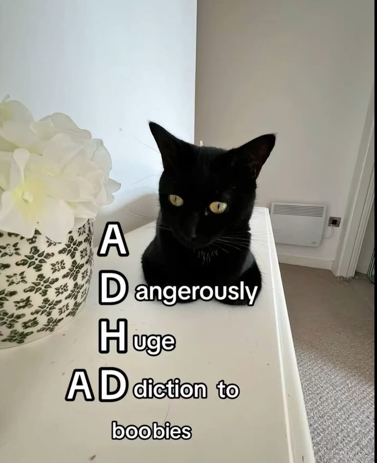 belikeski's tweet photo. When I say I have ADHD this is what I mean https://t.co/LEuSEyewmB