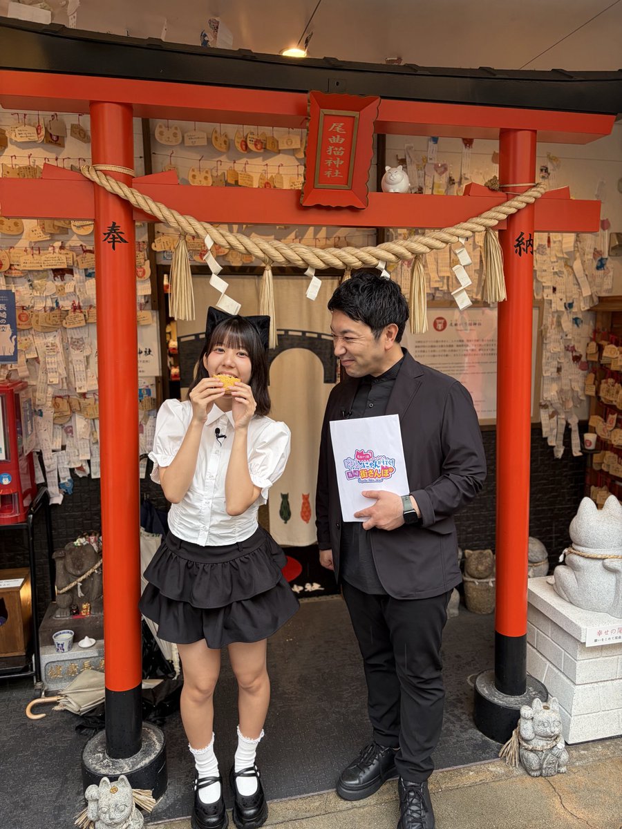 yun_ngs_zukan's tweet photo. 尾曲猫神社の外には、国内外から来られた方達の【猫ちゃん達がみんな健やかに幸せな猫生を送れるように】と猫ちゃんへの愛の願い事がたくさんありました🐱♡ https://t.co/dtiN74G5Bc