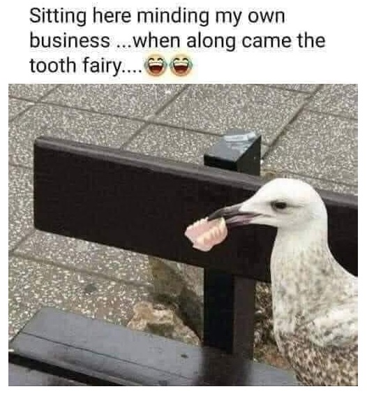 SpillTheMemes's tweet photo. 😂 https://t.co/uPAhV0eAK8