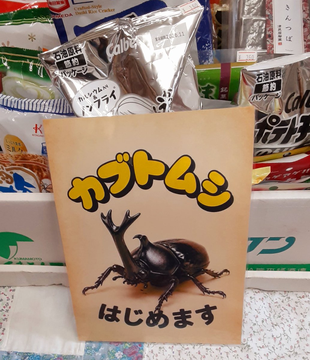 NOFUTURE222's tweet photo. 広島県 庄原市 東城町の はら商店さんで カブトムシ 売ってます🕷️
#東城町 https://t.co/HBgvSsjdnz