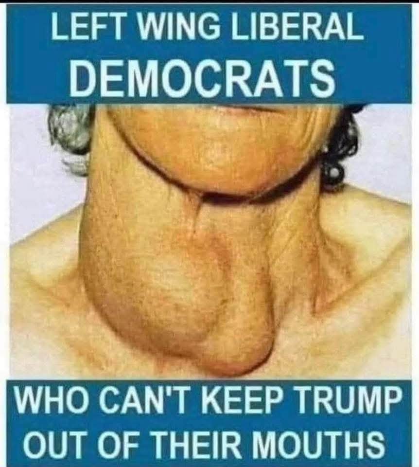 mowjim13's tweet photo. @fshionably_late @CorkySwift2 @catturd2 @UltraCaliGirl47 What does trump have to do with this?  Found your pic https://t.co/It0OS9rCfV