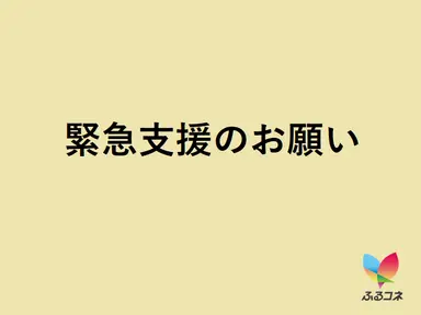 furu_con's tweet photo. 熊本地震で被災された皆さまに心よりお見舞い申し上げます。

熊本県八代市では、復旧・復興に向け、
企業版ふるさと納税による企業の皆さまからのご寄附を受け付けております。
ご協力をお願いいたします。

https://t.co/2f6hFE2AcX https://t.co/wzmxACmhcF