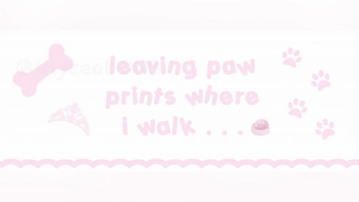 DvmbPuppi_'s tweet photo. 🪽     . . .⠀⠀꒰ #shedtwt꒱

            ⁺　.⠀ Nova⠀  ⌒₊˚ ❤︎ ⠀ 
                    She   ノ⠀paw .⠀
       ︵  #kpoptwt ⠀ #stantwt ⠀ 

                       ‧˚꒰🐾୭ ˚. ᵎᵎ
             ♡ / ↻ to be moots .ᐟ https://t.co/cHdaQauk2S