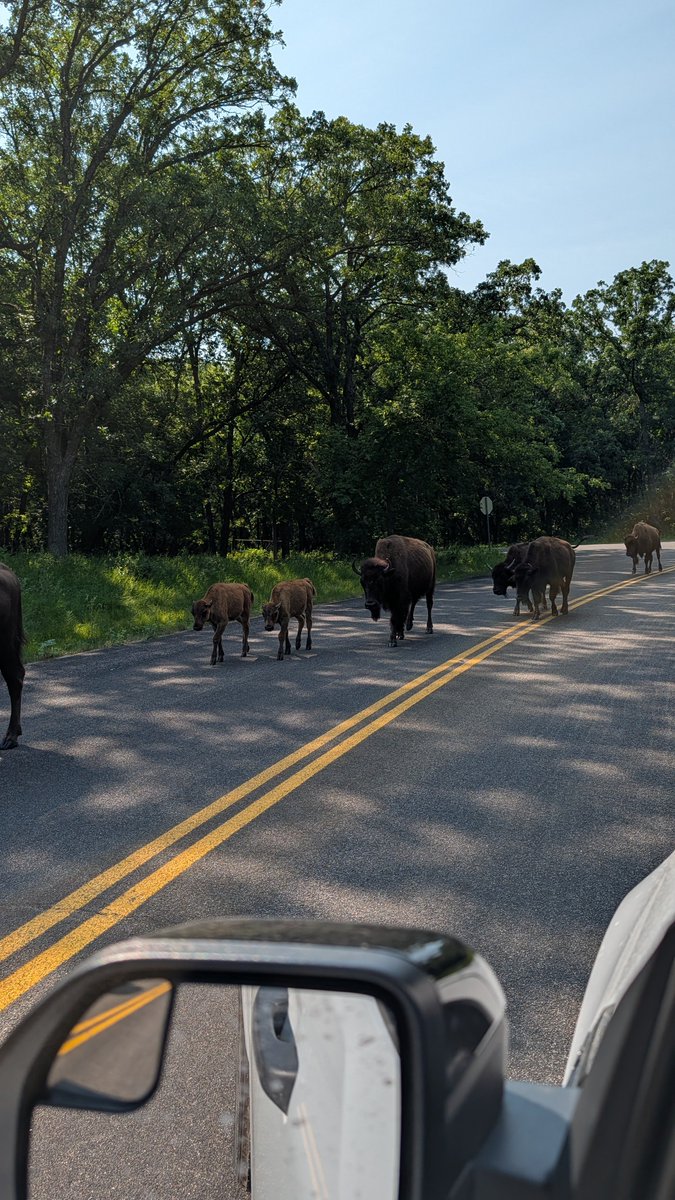 GatorColin's tweet photo. @GatorsChris And 300 miles east at White Horse Hill Preserve https://t.co/ITcEuq15zn
