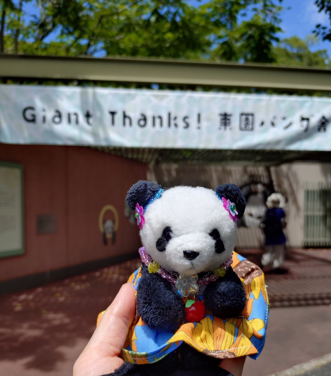sakurasakuya9's tweet photo. 思い出の東園パンダ舎
通って行くと、たくさんのパンダ舎の思い出がよみがえる。
暑い日も寒い日も、パンダがいるから並んだ場所…
みんなの思い出が詰まっている場所
(2026/07/29)
#東園パンダ舎
#上野動物園東園 https://t.co/fDp6VpJzdY
