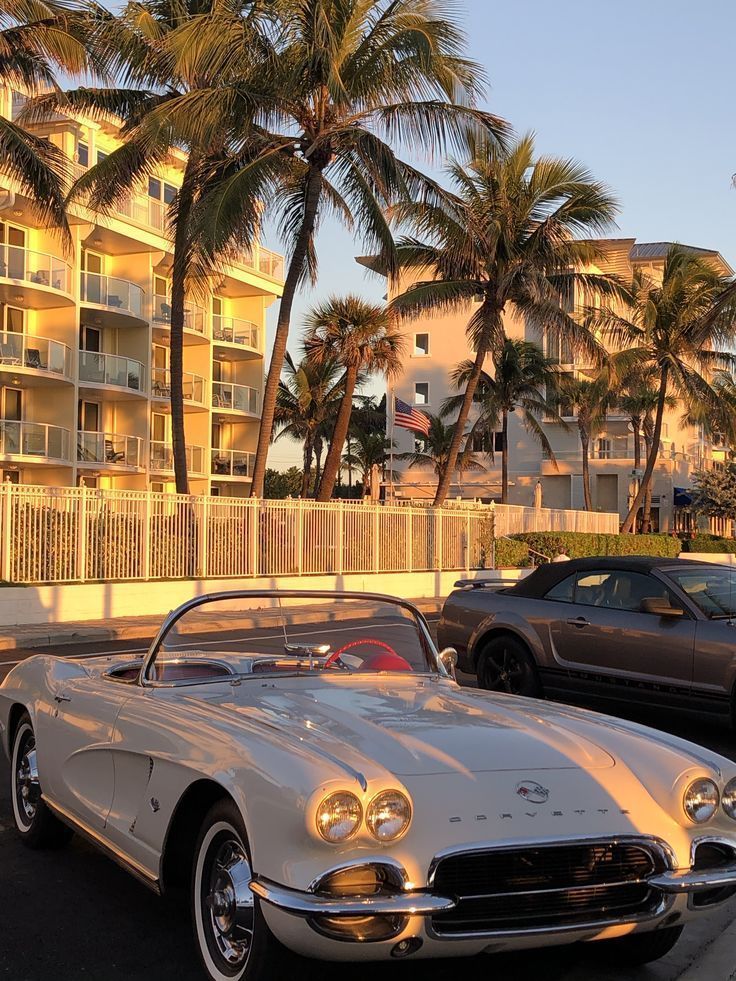Car Porn tweet media