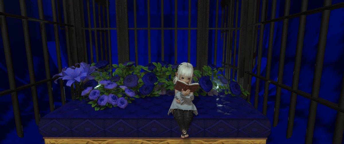 LotusQ1007's tweet photo. おはようございます！おはララです！今日は木曜日ですね！本日も無理せず頑張りましょう！

🏷️ #room_No350

#おはララ #ララフェル #FF14 #FF14SS
#FF14フレンド募集 https://t.co/J1MF0zp3Tp