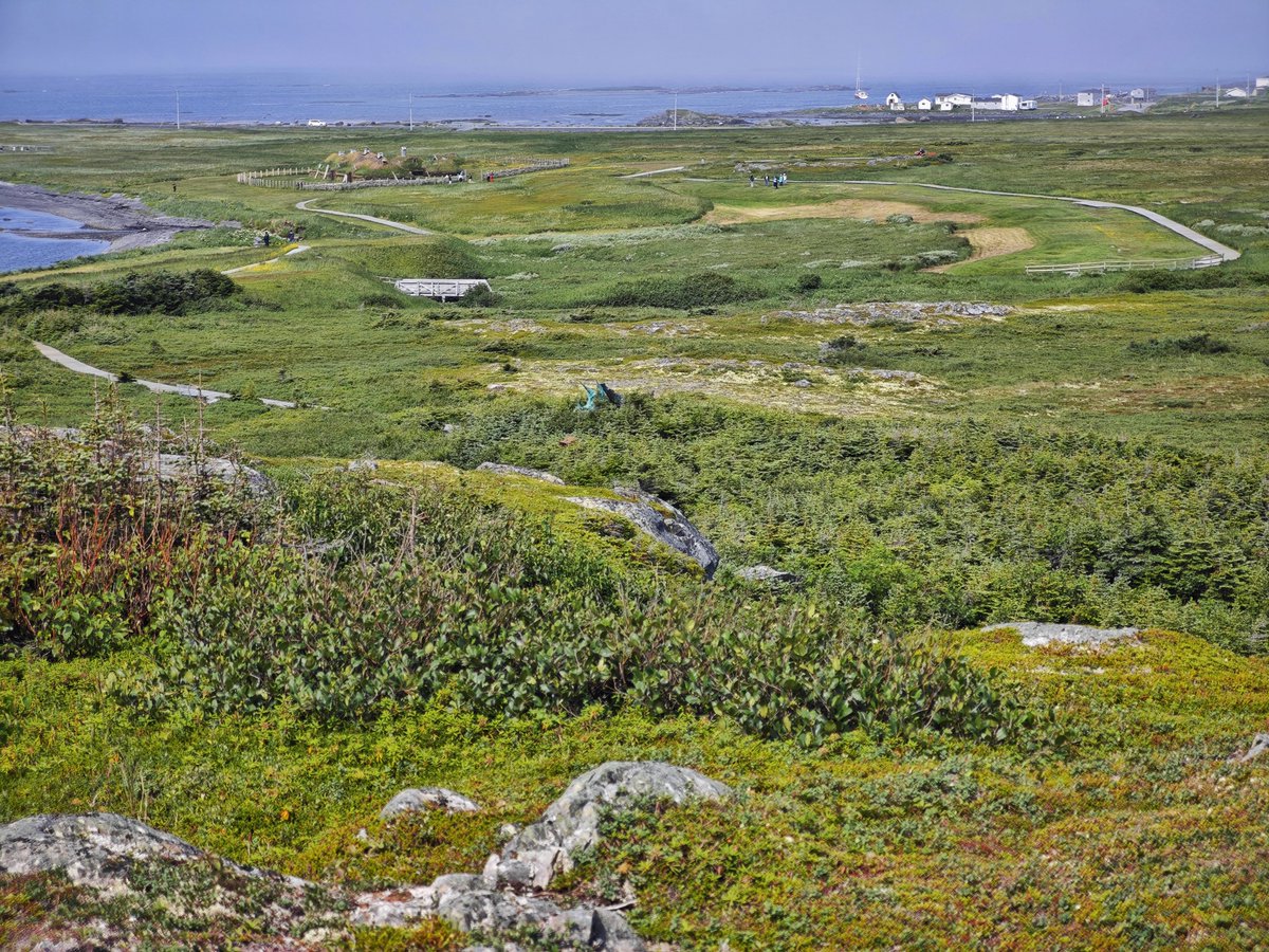 dereklee0329's tweet photo. #Newfoundland Day 5 Saint Lunaire-Griquet - Saint Barbe
​今日主要行程是L'Anse aux Meadows国家历史遗迹和观鲸。
​时间充裕，上午先在北部的“大城市”St. Anthony随便逛逛。中午吃个有名的餐厅，结果被误导。国家历史遗迹展示了1000年前维京人登陆北美洲的生活场景。朵发现了一个哈兰德……观鲸大雾 https://t.co/eQRlpHAzxv