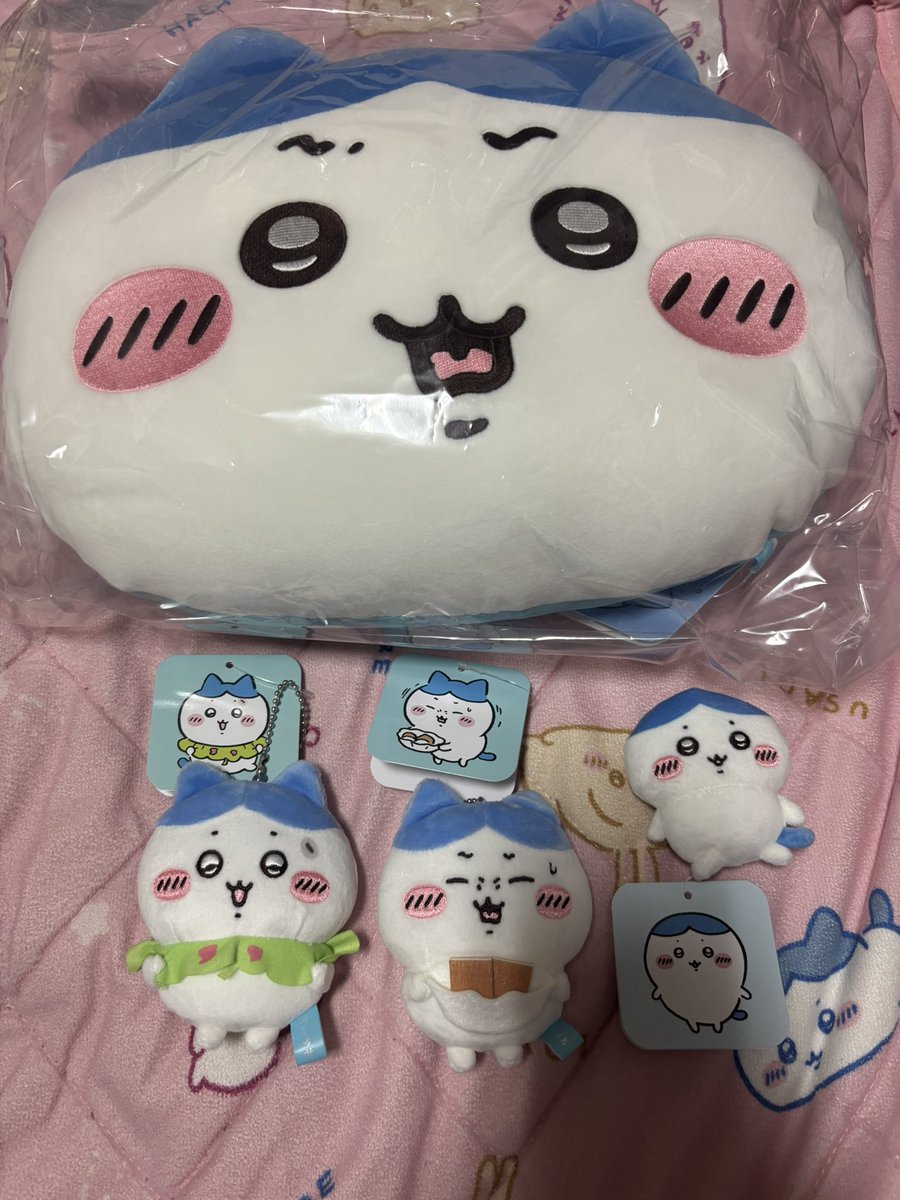 lp_katty's tweet photo. 【交換】ハチワレだらけくじ
《譲》B賞…ってコト⁉︎
D賞すぐにしたかったんだッ…｢共有｣ッ　汁はねガード
E賞神様？③
《求》C賞ザザァァッ、全滅しちゃう〜
D賞ピーマンの肉詰め、まちがっ…ちゃったかも…
E賞いつもの姿、生え変わり、フー
※現在徳島手渡し、交換するのは未開封 https://t.co/GHBGqbVVI5
