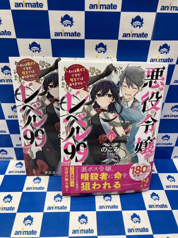 悪ノ骨牌 特製ビジュアルトランプ 未開封 アニメイト特典 悪ノ骨牌