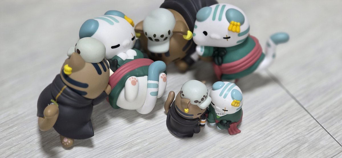AL_OP_'s tweet photo. 고양이 밭이다🐈🐈‍⬛🐈🐈‍⬛ https://t.co/Q3hkvr7NKI