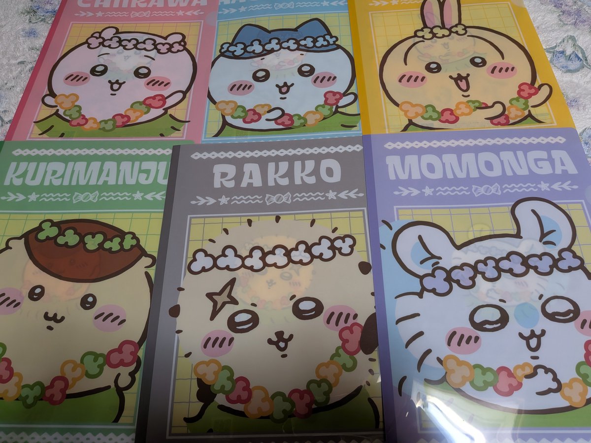 コアラ🐨 (@koaladayo_0316) / Posts / X