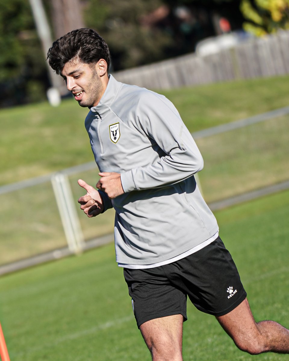 mfcbulls's tweet photo. Grinding 🫁

#WeAreTheBulls https://t.co/5jmf8hDemC