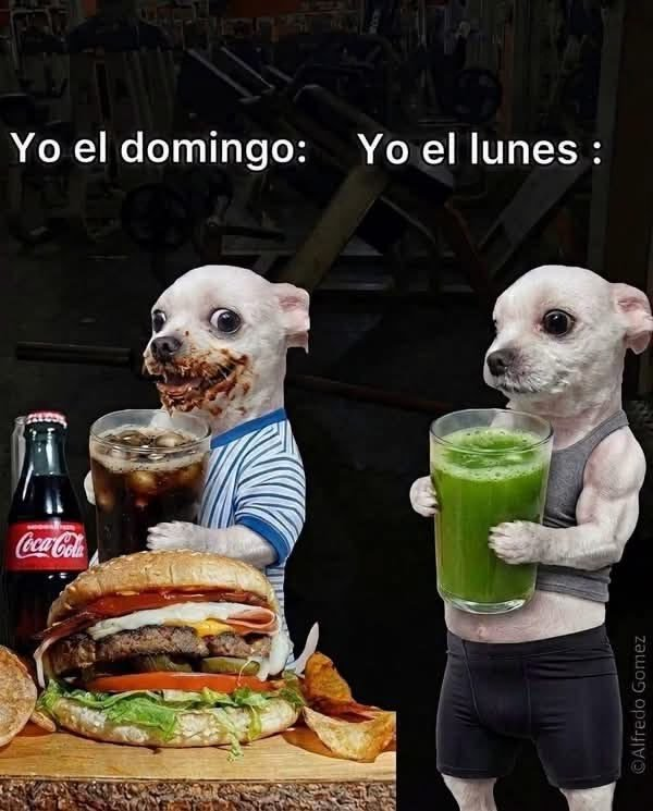 FraseSimple's tweet photo. https://t.co/sOIAUVXHdz