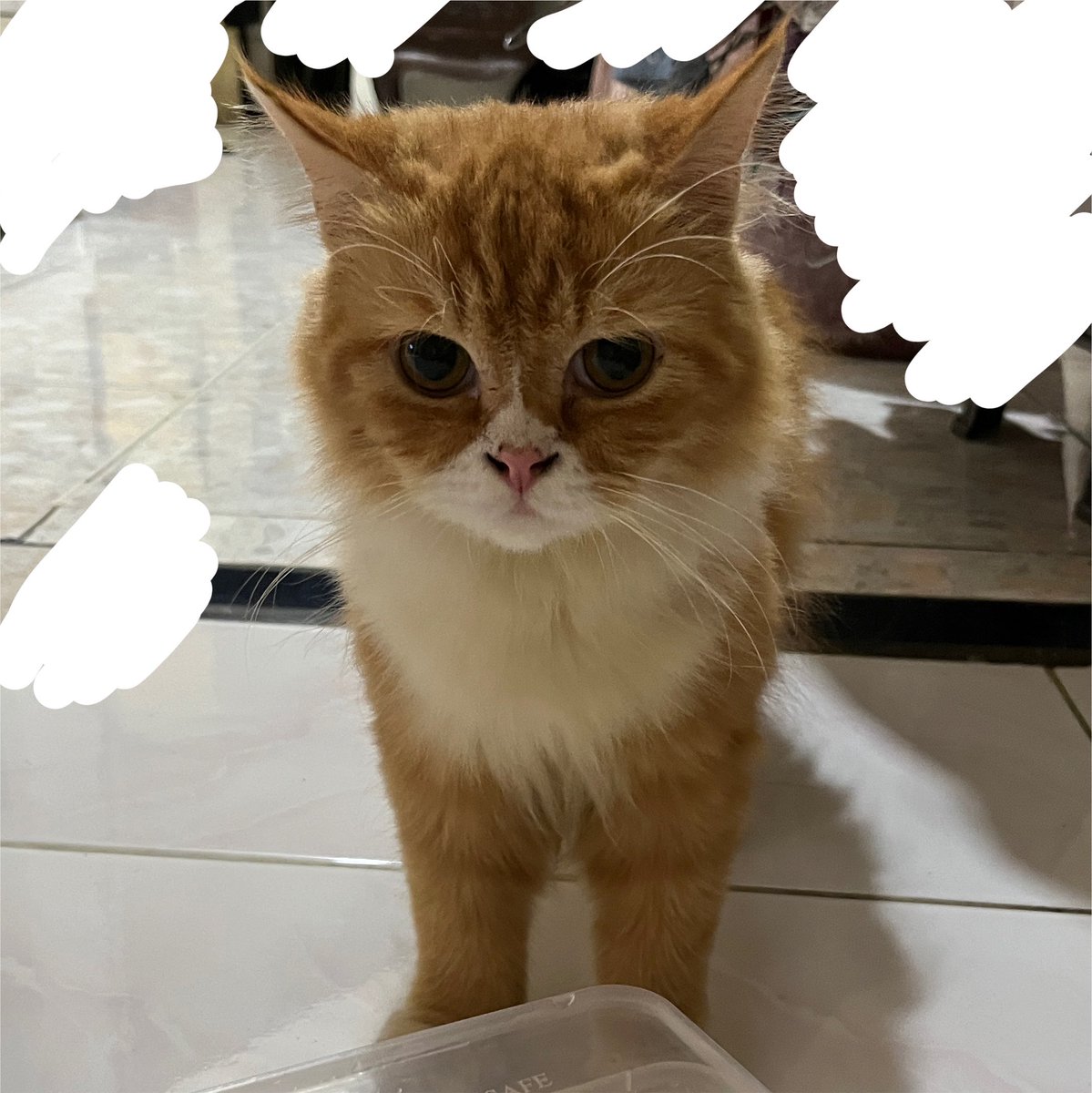 cinnefil's tweet photo. tampak belakang vs tampak depan https://t.co/uvTvPJ2GNu