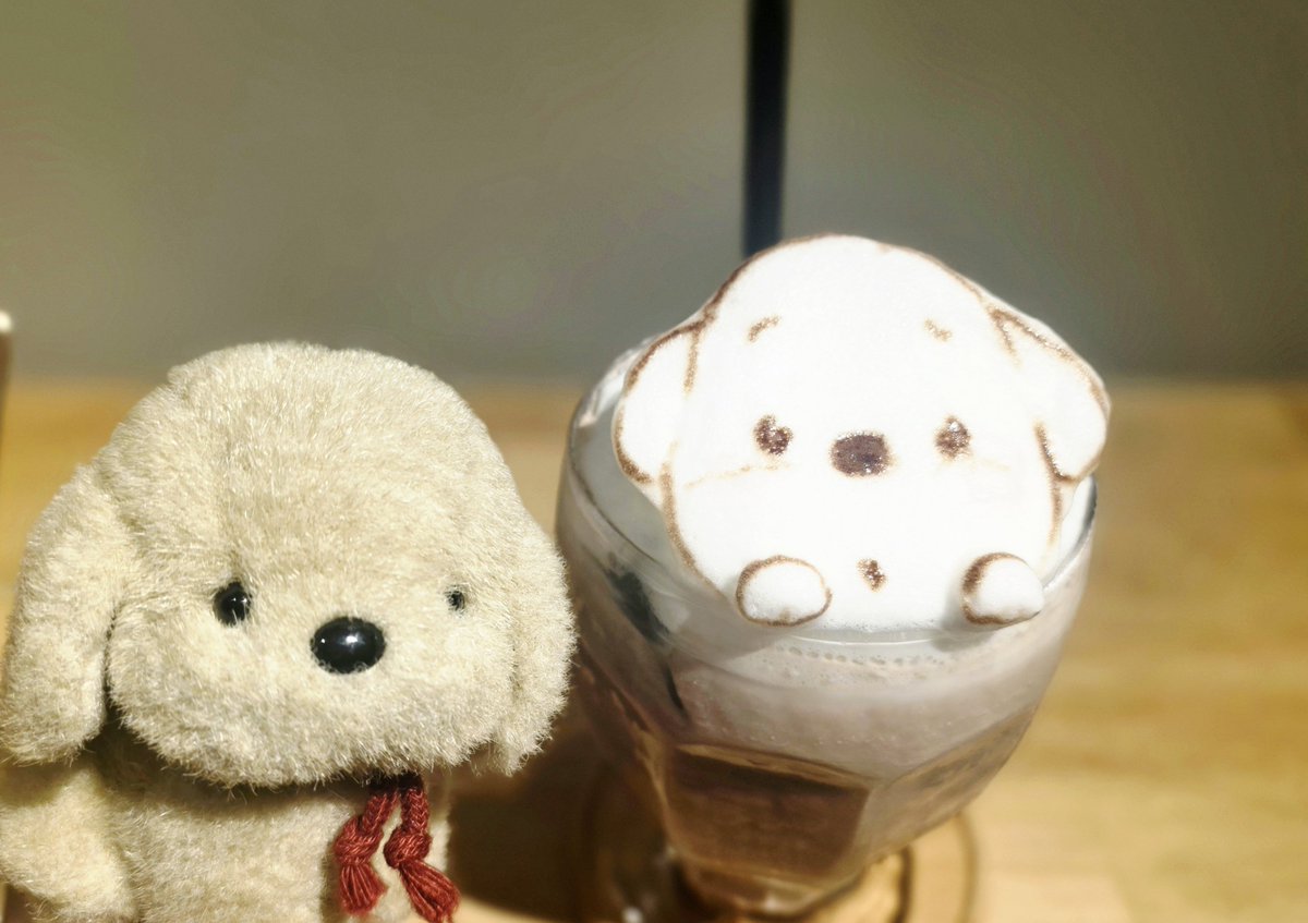 inunui_ume's tweet photo. 何度見てもかわいいすぎる こいぬとこいぬ https://t.co/hPbCCFrFo0