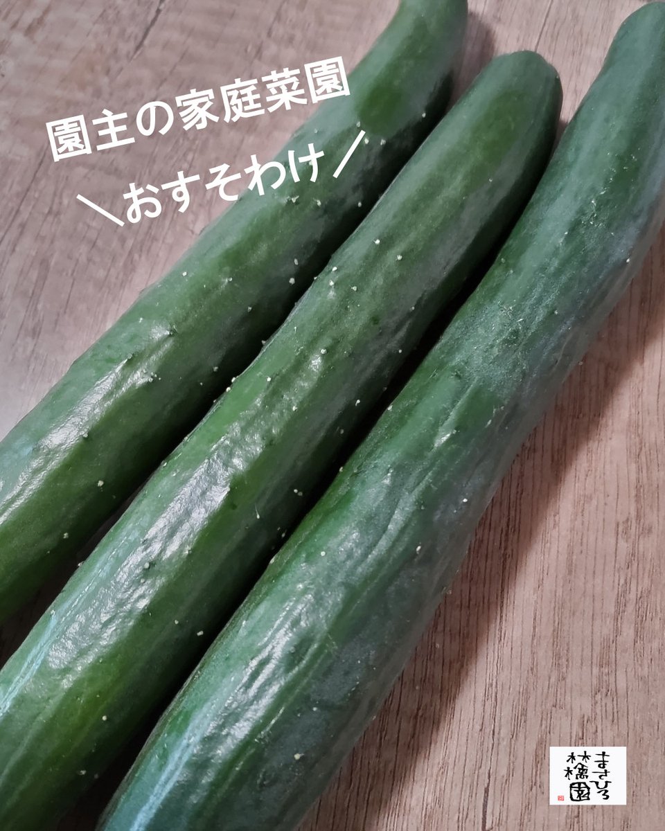 masahiroapple's tweet photo. わーい！わーい☺️✨ https://t.co/FpnBcfCIAj