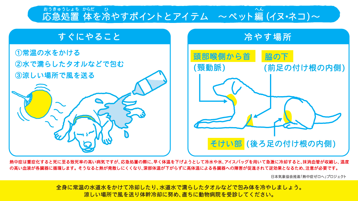 netsuzero2013's tweet photo. 【⚠ペットの熱中症対策】
人間と同じように、高温多湿な環境に長時間晒されることで、イヌやネコも熱中症にかかる可能性があります。
高温の環境は避け、こまめな給水や、時には体表に水道水をかけ流し、さらに風を送るなどの気化熱を利用した簡易的な体幹冷却法を取り入れるなど、複合的な対策を意識してください。
https://t.co/Um0UqdP6RI
#熱中症ゼロへ