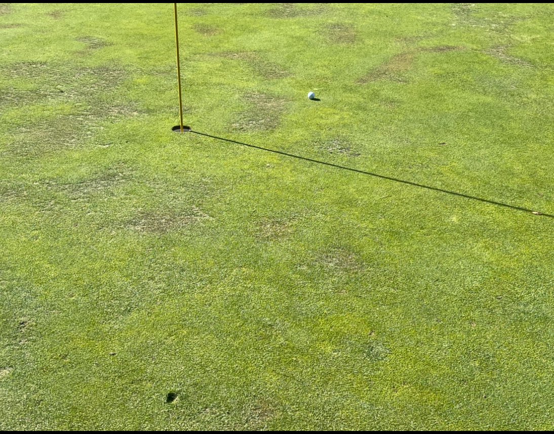 SteveMimsEUG's tweet photo. Coulda, shoulda had my first ace at Oakway today. Landed a bit short and hit the stick but bounced 16 inches away. Yes, I made the birdie putt but pissed the ace bounced away. https://t.co/Ag04USLZTN