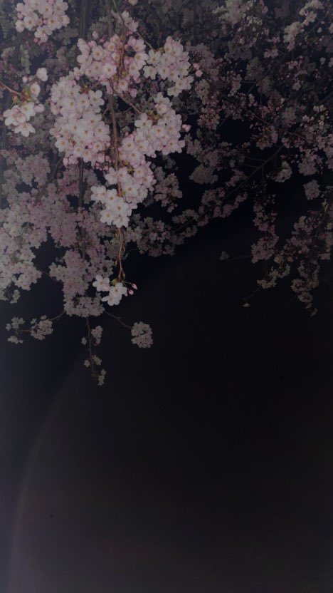 ttutti1234's tweet photo. 연락할사람 심심해요
#07#연락 https://t.co/X7qA3oFKdi