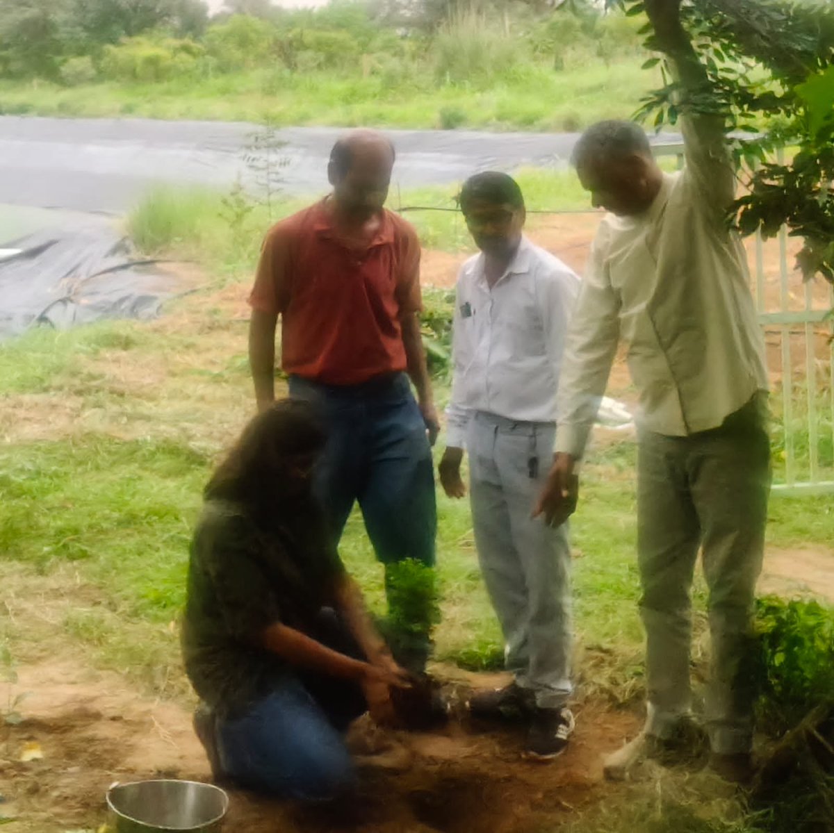AwanaSurendra's tweet photo. #s_awana_plantation https://t.co/GEzSTvplPF