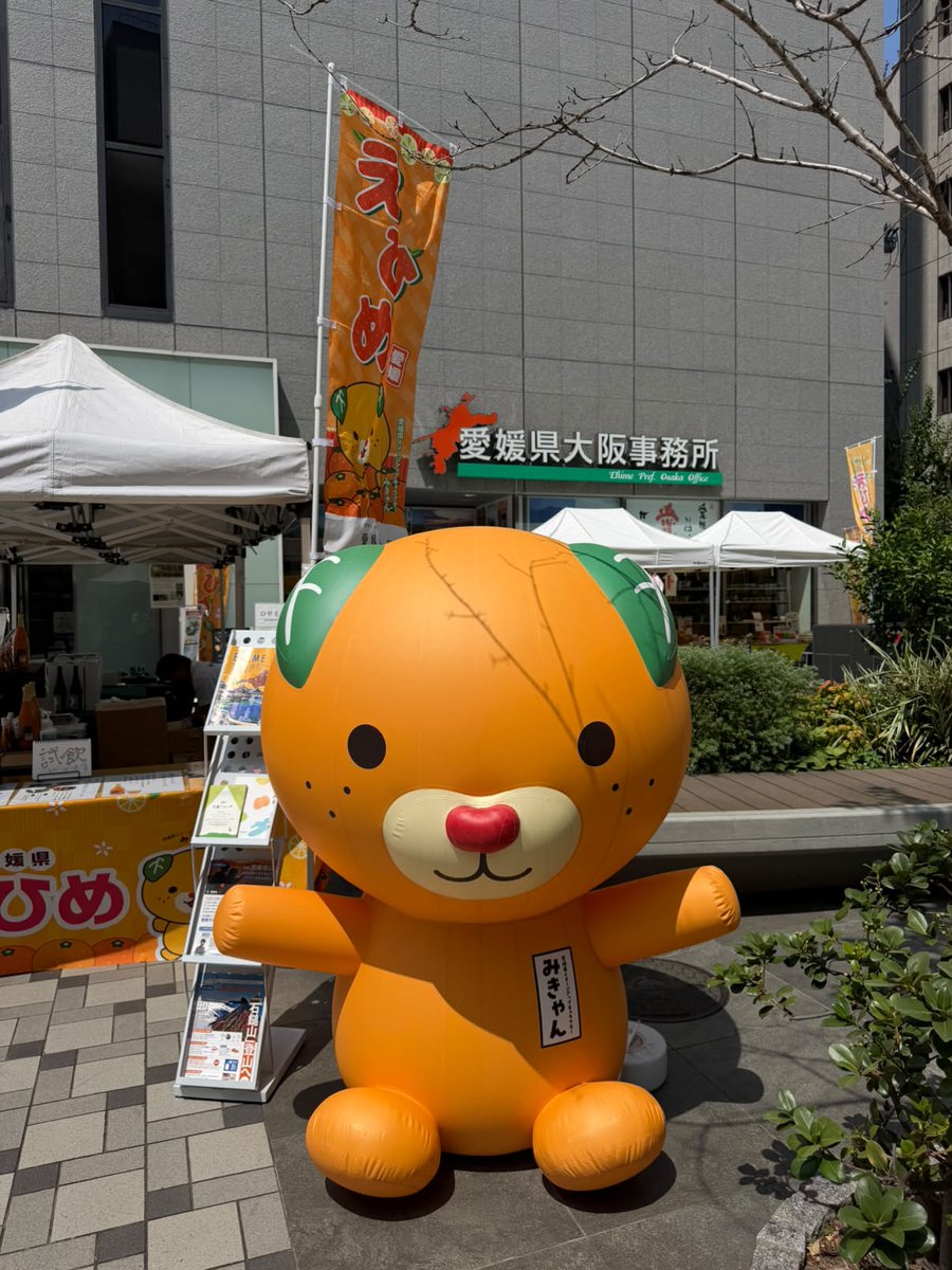LOHASPLAZA's tweet photo. みきゃん、どど～ん🍊

今日もお待ちしています☺

#えひめ西条フェア https://t.co/nn6uoZHPOD