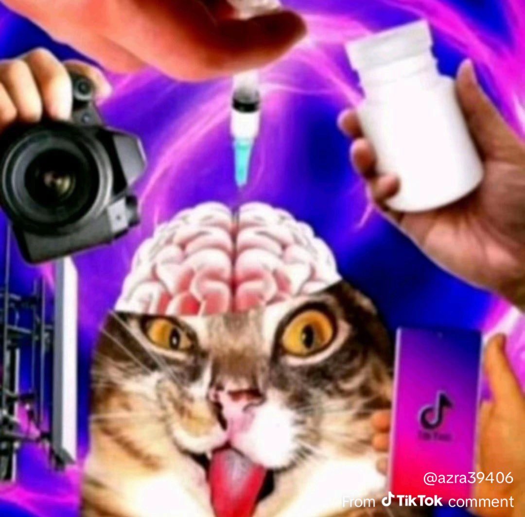 ⟡ tweet media