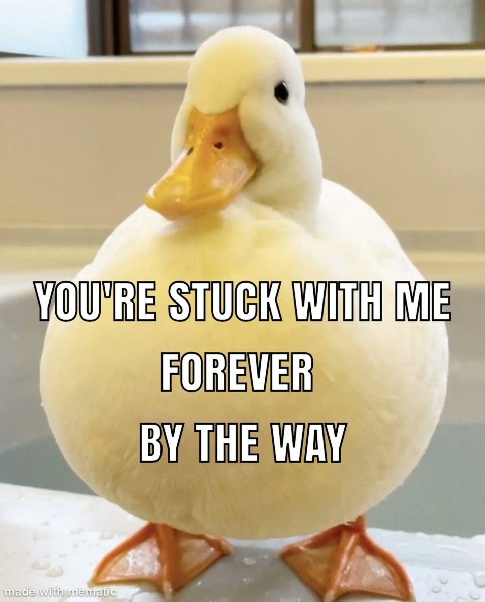 duckingcutgbur's tweet photo. ❤️🦆 https://t.co/0nSwz1LqC8