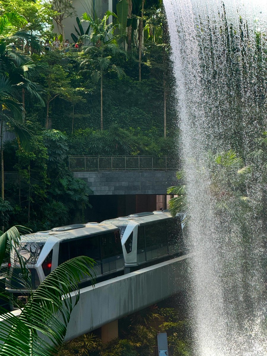 cochemdfsf's tweet photo. The misty vortex and cascading waterfall create a breathtaking spectacle in this lush indoor oasis.🌫️💧✨ https://t.co/zX6CVEmKey