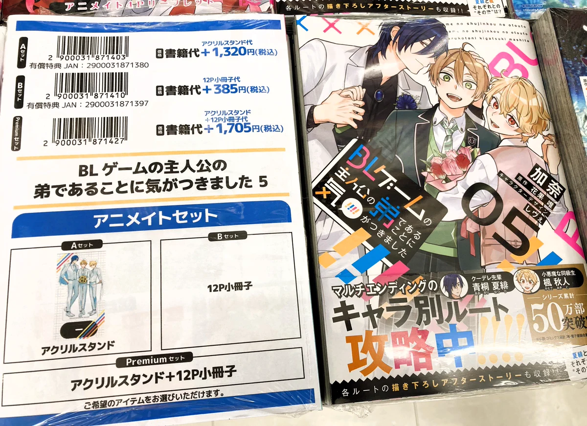 BL 特典　アニメイト他　リーフレット/小冊子 アニメイト沼津 в X: „【書籍入荷情報】 「BLゲームの主人公の弟である