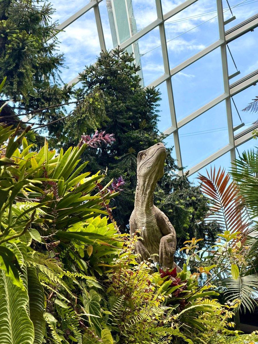 EmaandCdsfkoco's tweet photo. 🦕 Step into Jurassic World: The Experience and witness life-size dinosaurs hidden among lush jungle foliage!🌿☀️ https://t.co/j8clZUWIza