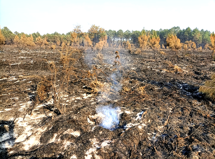 InfoBassin's tweet photo. Feu Saumos: Le monstre résiste, mais plus pour longtemps... Voir https://t.co/pimTO7uiJW
#bassindarcachon #feudeforet #andernos #ares #audenge #legecapferret #leporge #evacuation #bordeaux #marcheprime #mios #lebarp #arcachon #Incendiesdeforêt https://t.co/WAVhEuRZzS