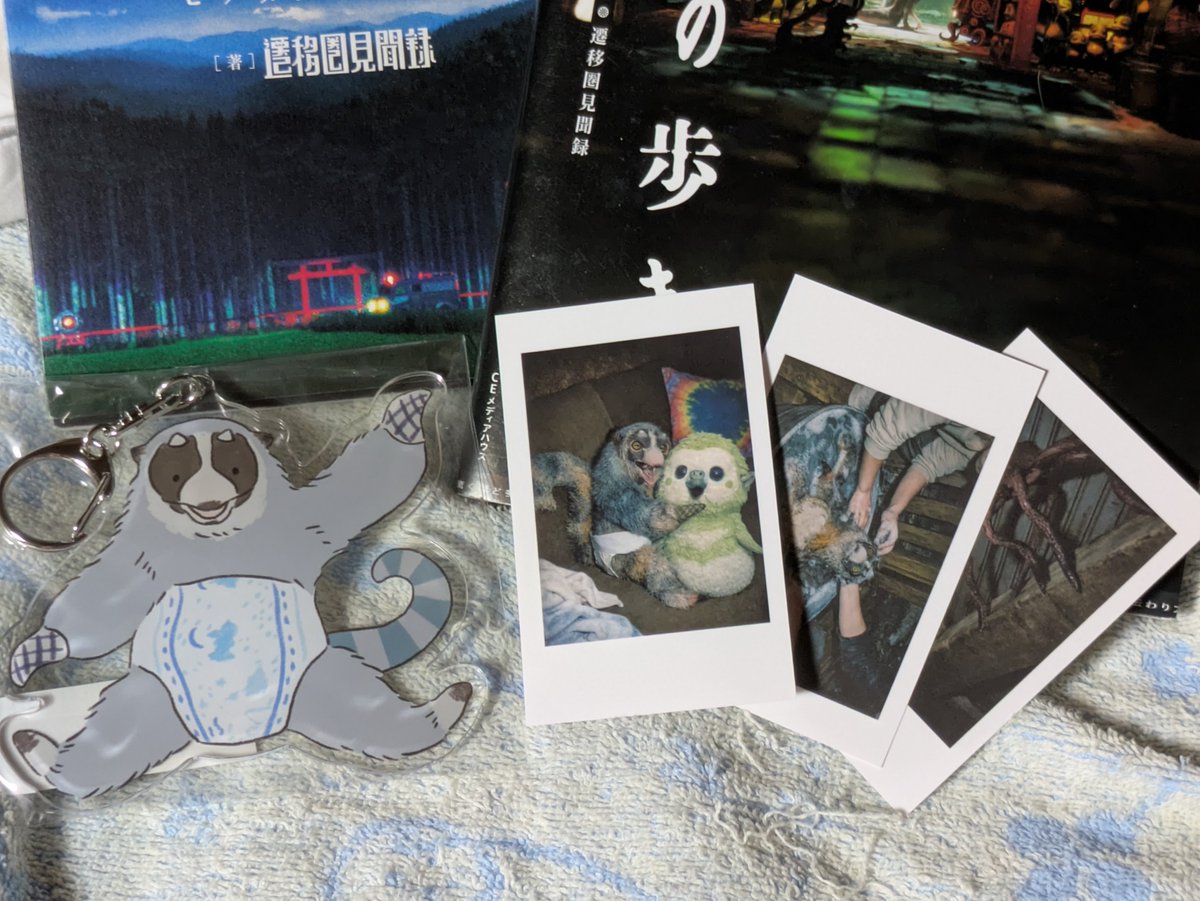 marumoffun's tweet photo. 遷移圏からモビフロの返礼品の一部が遷移抜けしてきたぞー！！(∩´∀｀)∩ﾜｰｲ

ががまるホントに可愛い(*^_^*)
＃遷移圏見聞録
#モビリスフロンティア https://t.co/ZRKbGubCIW