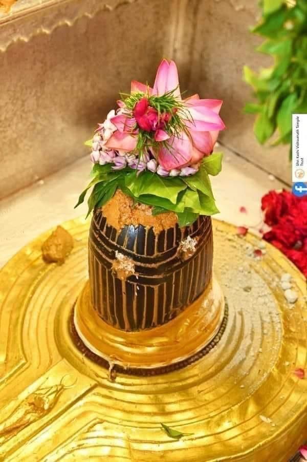 Ayushi_Gupta223's tweet photo. जय बाबा काशी विश्वनाथ 🙏 https://t.co/yy5TTC55LH