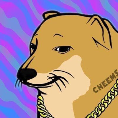 SolxFun's tweet photo. $CHEEMS hit Level 1 on SolxFun's Meteora Pool Radar 🌀

Liq +165.3% in 1H 🔔

Monitor widening liquidity 🫡

Trade via SolxFun:
https://t.co/Jb758MIaWG https://t.co/90MLqDFfyM