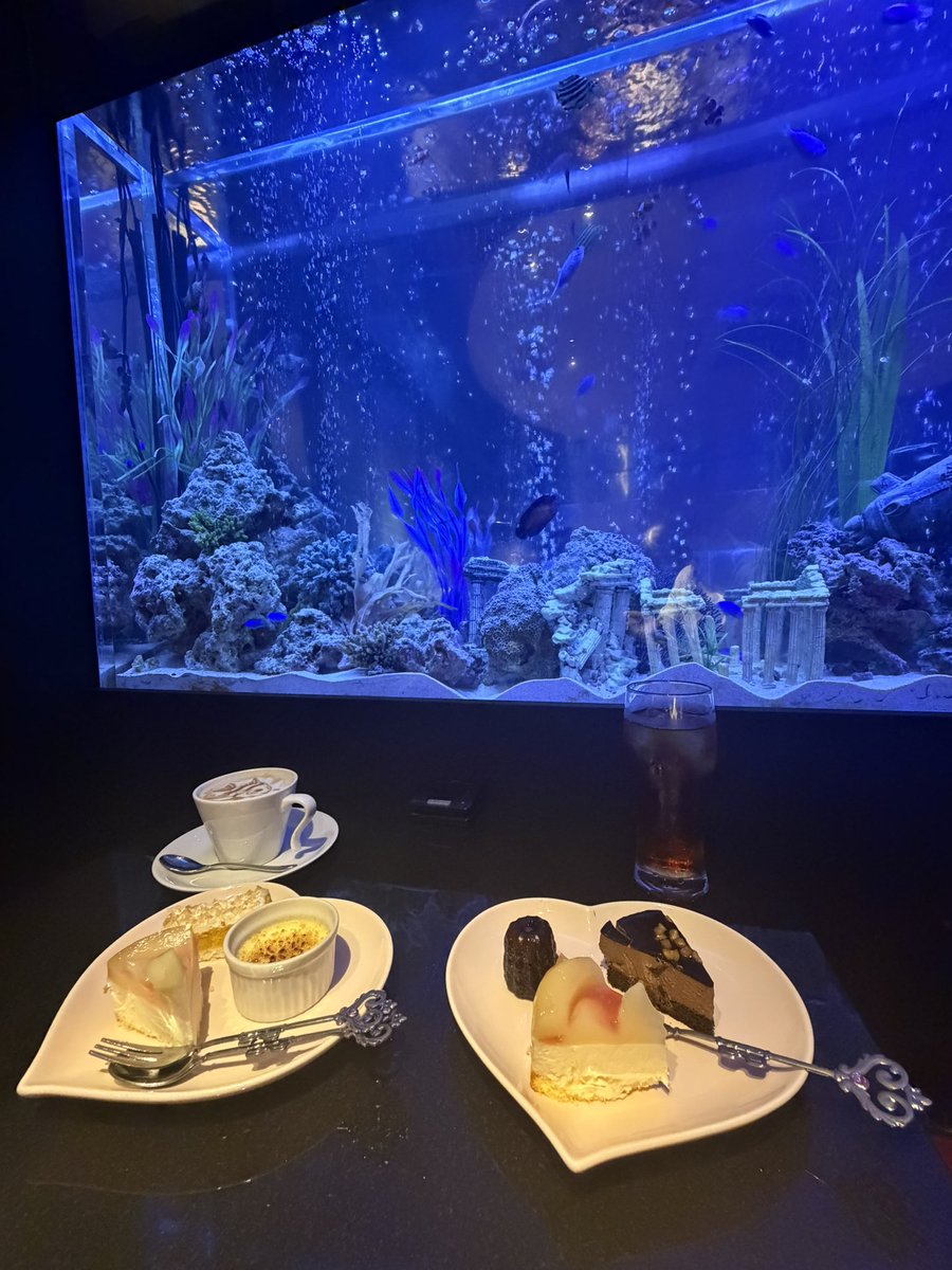 s___o_o112's tweet photo. 可愛いカフェ連れてってもらた https://t.co/Th6bun8Ql5