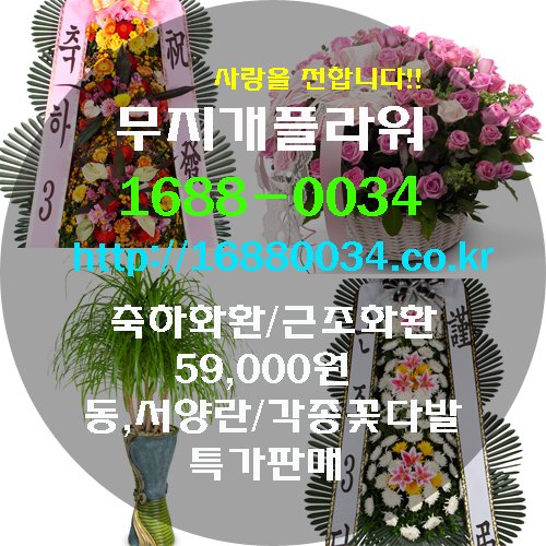 digksqka005's tweet photo. 🎉 전국 꽃배달은 무지개플라워!
✔ 축하·근조화환 59,000원
✔ 전국 무료 당일배송
✔ 세금계산서 발행 가능
✔ 꽃다발 · 꽃바구니 · 관엽식물 · 동·서양란 전문
📞 1688-0034
🌐 https://t.co/2WiQOyBZC4 https://t.co/L6xnRGUq6V