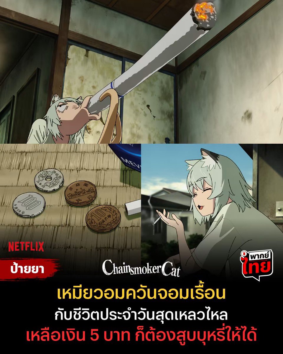 nidarhayati's tweet photo. 🍎 —— ✿ โปร 𝗡𝗲𝘁𝗳𝗹𝗶𝘅 𝟰𝗸🪿

𓏔 1 วัน รี 1฿ จากราคา 10฿
𓏔 7 วัน  รีทวิต 25฿ 
𓏔 30วัน รีทวิต 45฿
𓏔 60วัน รีทวิต 80฿

𓐄 จอมีรหัสล๊อค

แอคไทย ꔛภาพเสียงชัดระดับ4K
♡ﾞมีจอดู TV 🤍

#เน็ตฟลิกซ์ราคาถูก #หารnetflix #หารnetflixราคาถูก  #หารเน็ตฟลิกซ์ราคาถูก #หารเน็ตฟลิกซ์ https://t.co/vI1jHEnB15