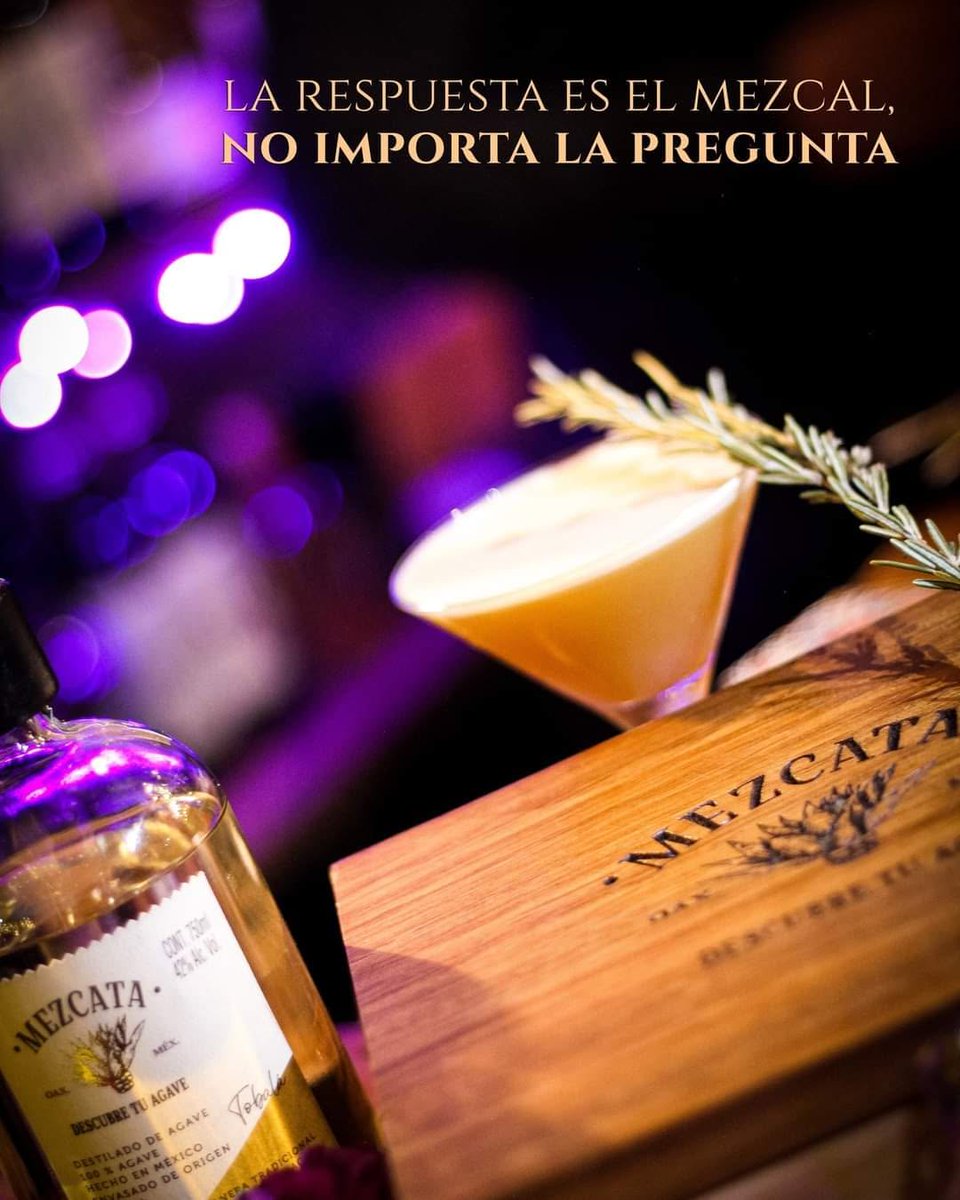 MezcataMx's tweet photo. Hay preguntas que solo merecen una buena conversación… y un gran mezcal. 🥃✨
Descubre el sabor auténtico de Mezcata y brinda por los momentos que sí valen la pena.

#Mezcata #DescubreTuAgave #Mezcal https://t.co/XH2WDPiHXk