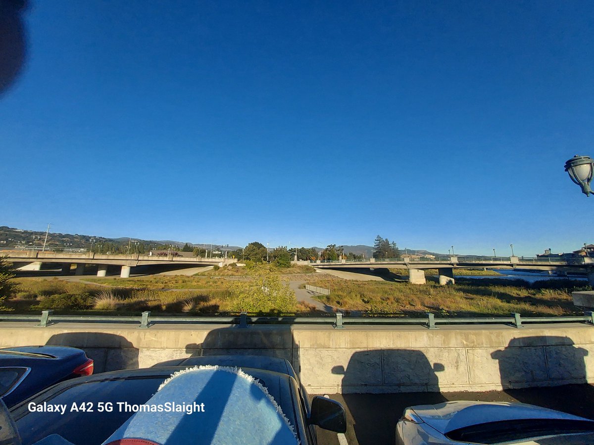 TommySlaight's tweet photo. I would like to see more trimming and cut back in areas along the river for public safety concerns https://t.co/nsUQc8QKof