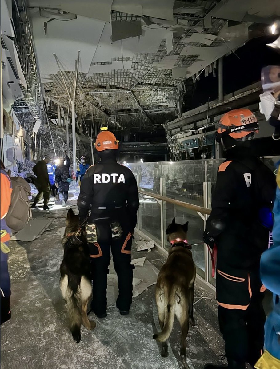 k9planet_japan's tweet photo. 🇯🇵🐾 熊本地震・イオンモール熊本で続く捜索活動　災害救助犬 SOTARO と仲間の救助犬が、RDTA（災害救助犬チーム）のハンドラーとともに、イオンモール熊本で懸命な捜索活動を続けています。 https://t.co/0d6r8tWQxT