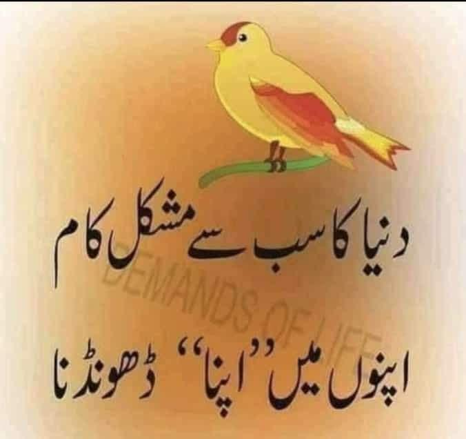 Sumbhal2joh's tweet photo. https://t.co/qESyLL8yAC
