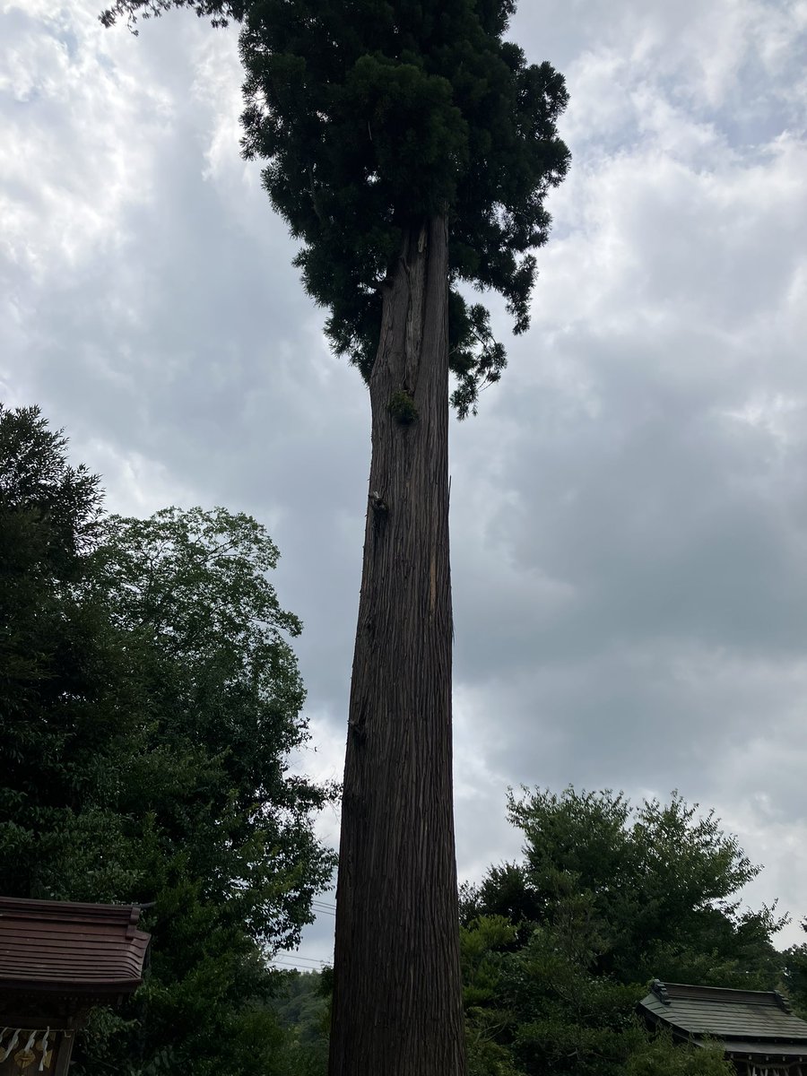 boabored's tweet photo. 控えておりましたが記録も兼ねて…🙇‍♂️
二十六〜七日にかけての #房聰三國神社御朱印巡り は市原市 #草刈大宮神社 #鶴峯八幡宮 #養老山立國寺 を巡り #養老温泉郷 #川の家 さんにて一泊、外房に抜けて #國吉神社 #出雲大社上総教会 #瀧口神社 #遠見岬神社 #一松神社 #白子神社 に上がらせて頂きました🙏 https://t.co/qmSk1U0fTs