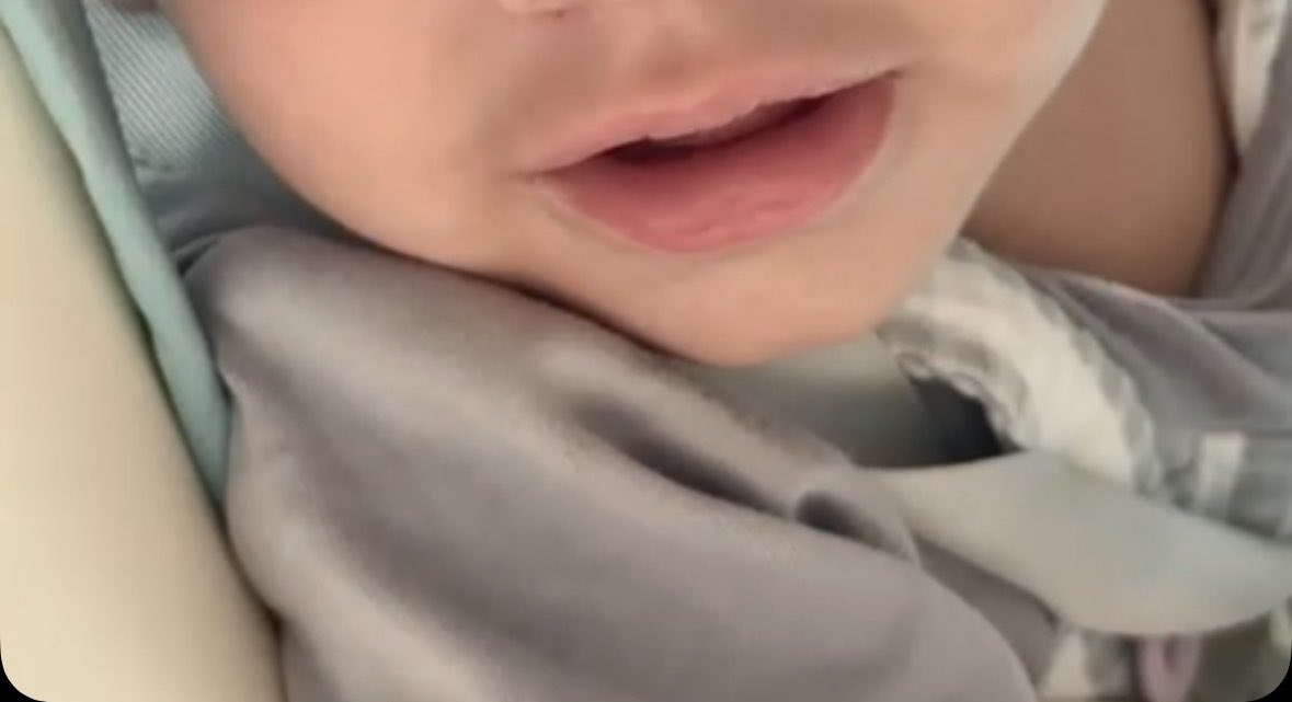 _aneei's tweet photo. My little baby❣️' https://t.co/KIBQTGt7KS
