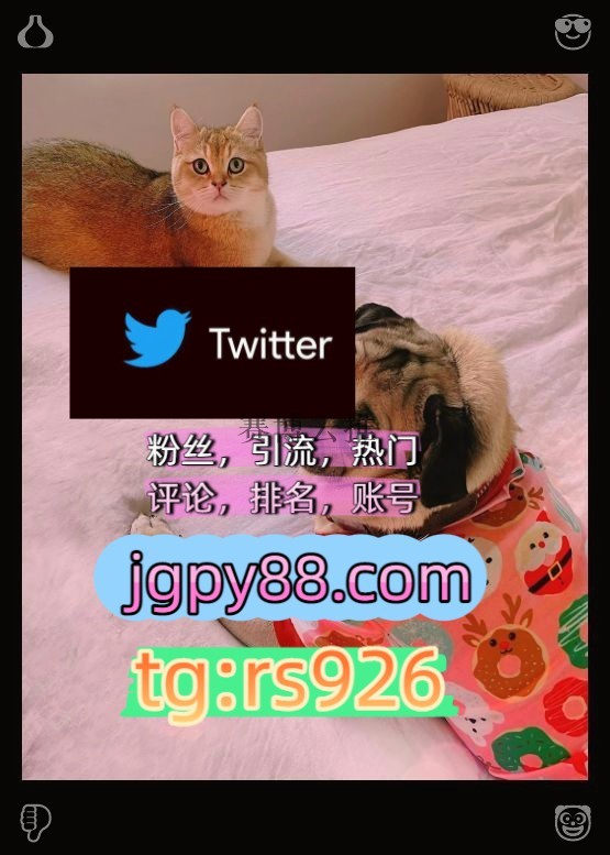 pattern0622's tweet photo. Respect earns deep genuine trust.
推特矩阵管理、营销自动化、内容运营软件获客、海外推广、流量增长外🧲facebook上门
粉丝号推特账号注册号深圳广州东莞佛山中山珠海
关键词霸屏🧳熱門🌈权重号🌟推特老号🍄定時發推💐多账号管理、批量发帖、内容同步围297324评论截流🎉股票代码🌟辅助工具🔥品牌 https://t.co/Wo6XZUMNbT