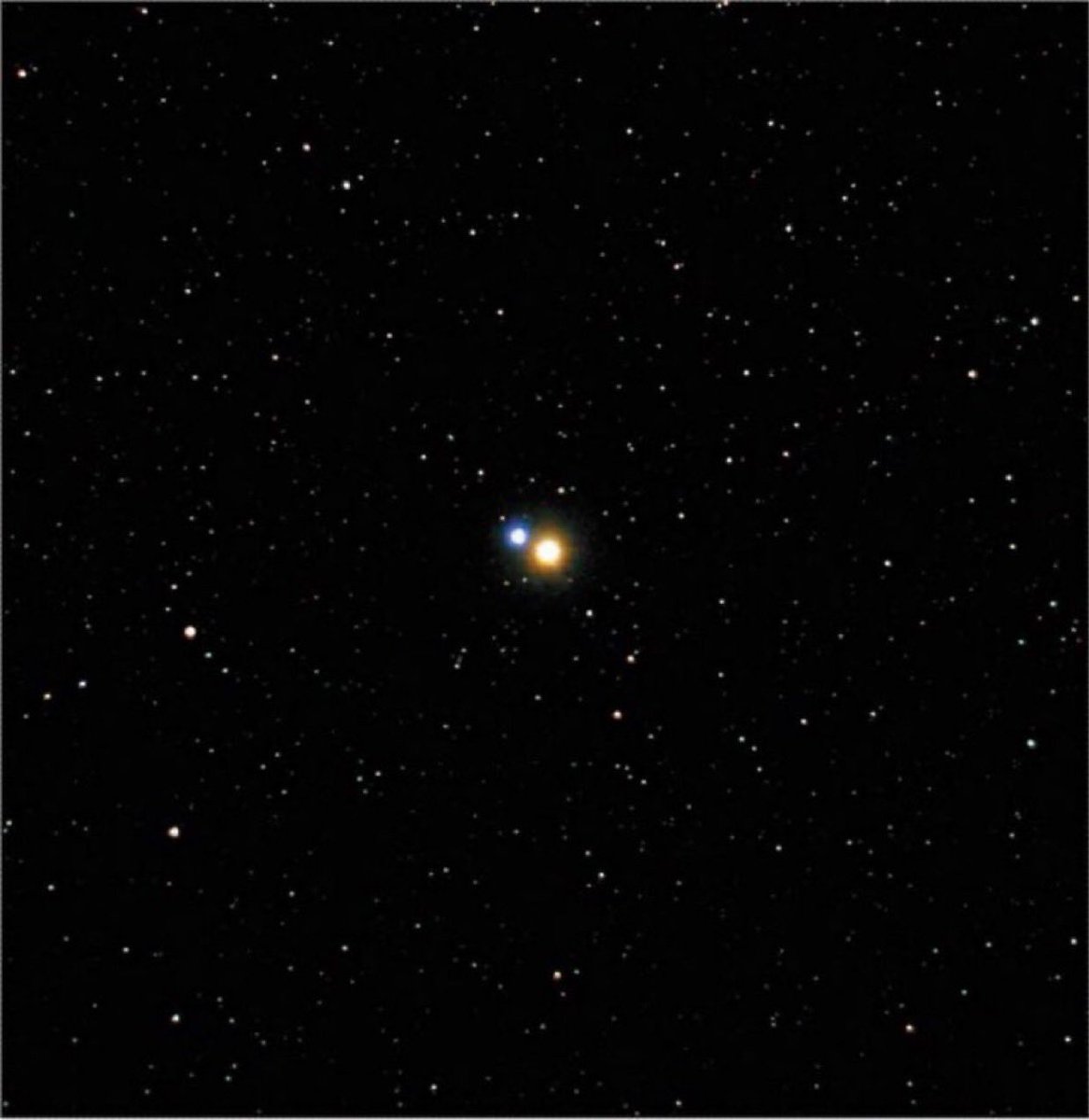 Xavi_Bros's tweet photo. Albireo, beta Cygni, is, may be, the most iconic double star to be seen with a small telescope at low magnification. The colour contrast between both stars is pure beauty. 
Don’t miss it!! 

Image: Johannes Schedler via Sky and Telescope https://t.co/BTZV9kVh6u