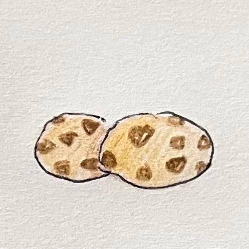 mo0mu_'s tweet photo. @etxrncl 
🍪 https://t.co/O8pcxpfQdh
